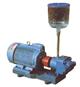 RCB系列高温热油泵-高温导热油泵-高温热油泵-RCB系列高温热油泵,高温导热油泵,高温热油泵