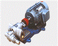 不锈钢齿轮油泵-不锈钢齿轮泵-KCB不锈钢齿轮泵
